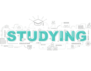 language Course