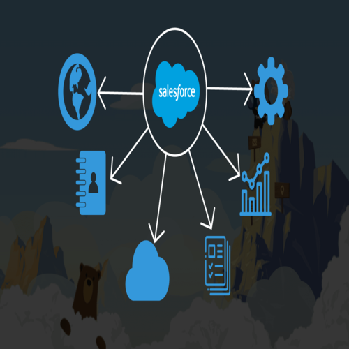 SalesForce – IT Solutions & Services